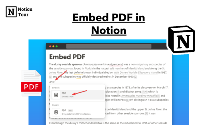 How to Embed a PDF in Notion