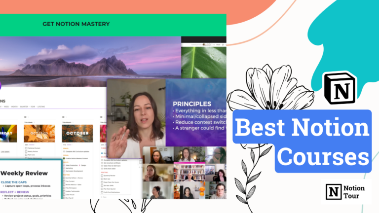 Best Notion Courses